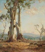 Hans Heysen Morning Light oil painting